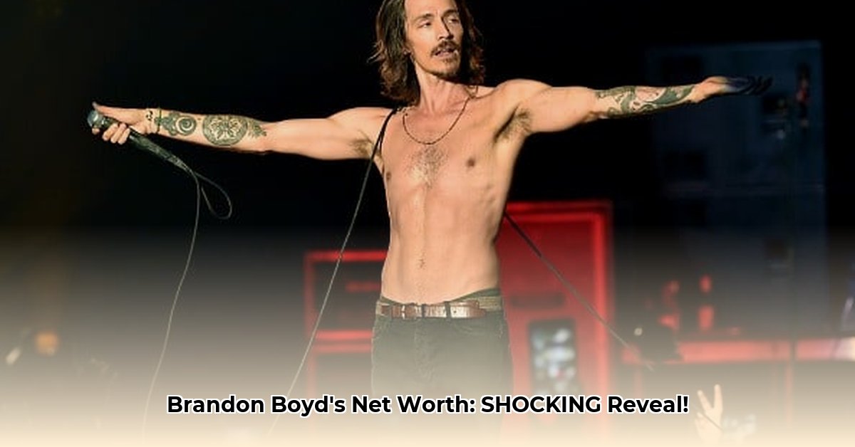 brandon-boyd-net-worth